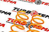 Пружины Технорессор ВАЗ 2121 задние (+50)